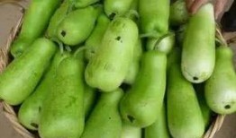 葫芦瓜 怎么吃,创意烹饪指南