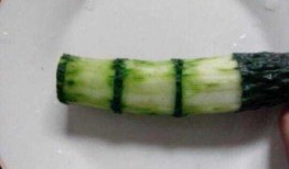 小孩吃中药可吃红萝卜瓜,红萝卜瓜的神奇搭配