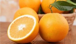 橙子小屋吃瓜,揭秘吃瓜群众的欢乐盛宴