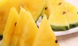 吃瓜图的繁体,趣味横生的网络文化现象