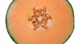 怀孕的人可以吃哈密瓜不,营养美味两不误