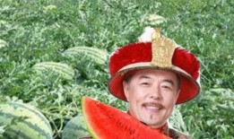 阿福在农村吃瓜,瓜果飘香里的欢乐时光