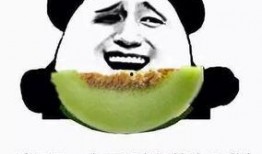 不限量吃瓜群众,不限量吃瓜群众的热闹现场