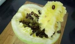 籽瓜摔着吃,摔出美味，摔出健康