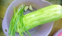 长水瓜怎么吃,探索美味与健康的完美结合