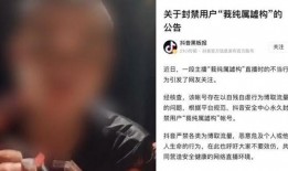 抖音吃瓜封禁答案,背后原因及影响深度解析