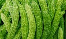 主动提出吃瓜视频,主动探索的娱乐新潮流