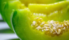 吃瓜专属歌曲大全,盘点那些让人捧腹大笑的吃瓜专属歌曲