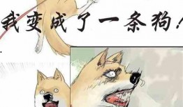 吃瓜吃撑小说,一场吃瓜吃撑的奇幻之旅