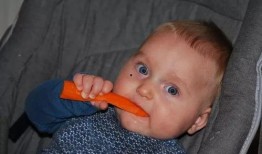 宝宝饭后吃网纹瓜吐了,警惕食物过敏与消化问题