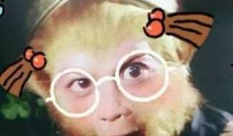 妹妹吃瓜沙雕动漫,一场欢乐的吃瓜盛宴