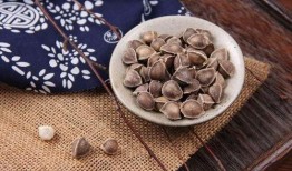 屎瓜葫芦的籽可以吃吗,揭秘可食用之谜