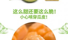吃鼎蜜瓜,探索吃鼎蜜瓜的独特风味
