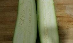 怀孕可以吃角瓜,角瓜助力健康孕育之旅