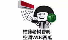 我成了吃瓜,我的吃瓜成长记