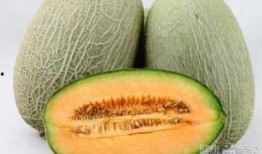 吃哈密瓜鼻塞,鼻塞背后的甜蜜奥秘