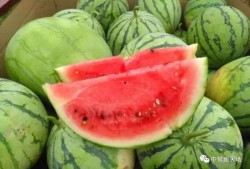 甜7吃瓜,揭秘娱乐圈那些不为人知的幕后故事