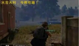 吃鸡吃瓜cp,甜蜜碰撞，笑料横生