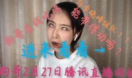 双哥直播回放吃瓜,一场娱乐与美食的盛宴