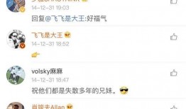 飞飞直播吃瓜,瓜田里的欢乐盛宴