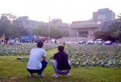 长沙学院的吃瓜事件,校园风波背后的真相探寻