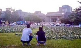 长沙学院的吃瓜事件,校园风波背后的真相探寻