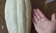 杜瓜叶子可以吃吗,探索杜瓜叶子的食用价值与食用方法