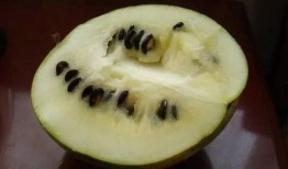 籽瓜摔着吃,摔出美味，摔出健康