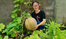 生活就像吃瓜,吃瓜知天下