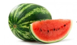 瓜弟的小基地吃瓜合集,吃瓜合集大揭秘，笑料百出，精彩纷呈