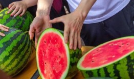 无锡大学吃瓜,吃瓜群众揭秘校园美食风云