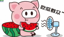 娱乐八卦一定是吃瓜群众的,揭秘“吃瓜群众”的娱乐八卦盛宴