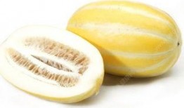 吃瓜吃了舌头麻,揭秘吃瓜为何导致舌头麻木