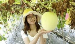 洛塘镇吃瓜,夏日炎炎，吃瓜群众欢乐多