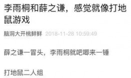 瓜老师吃瓜笔记是真的吗,揭秘真实与虚构的边界