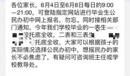 请你吃瓜txt,探寻请你吃瓜txt背后的故事与魅力