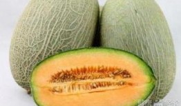 吃哈密瓜会变白,吃哈密瓜变白的神奇魔力揭秘