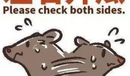 吃瓜的时候很忙,忙碌生活如何兼顾？