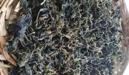 蒿瓜可以炖肉吃吗,家常美味新尝试