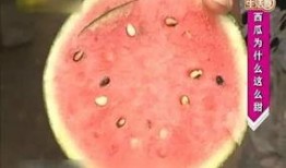 走路吃捎瓜,走路吃捎瓜的悠闲时光