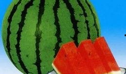 法考届吃瓜,吃瓜群众揭秘法律职业资格考试幕后故事