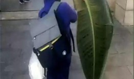 交作业了吃瓜,一起吃瓜解压