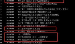 吃瓜股民最新视频,股市风云再起，内幕大曝光！