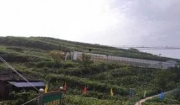 宜宾吃瓜事件视频,一场网络热议的瓜田奇谈