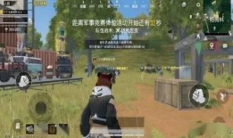 吃鸡吃瓜cp,甜蜜碰撞，笑料横生