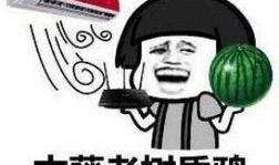 新雨吃瓜,揭秘娱乐圈幕后故事