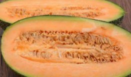 社会小伙吃哈密瓜,甜蜜滋味，畅享夏日