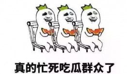 吃瓜的修养,品味瓜界，洞察人生