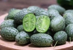 吃瓜的看法,吃瓜群众视角下的娱乐圈风云录