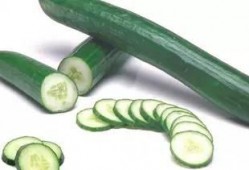 黄守瓜为何只吃瓜叶子,黄守瓜偏食瓜叶之谜探究